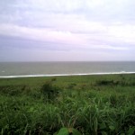 201006201842_静岡県_原海岸
