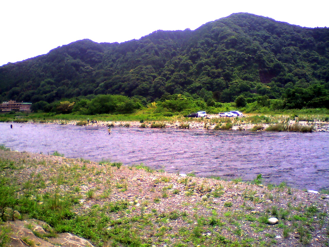 201006211229_神奈川県_上大島ｷｬﾝﾌﾟ場