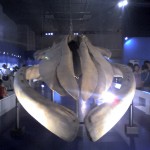 201008131721_東京都_上野科学博物館