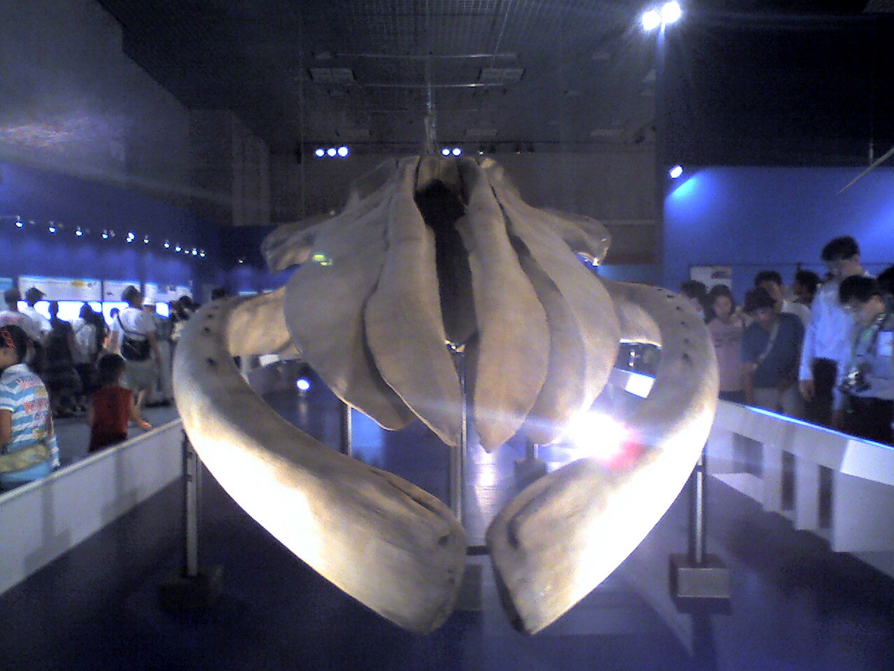 201008131721_東京都_上野科学博物館
