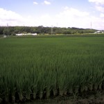 201009011213_愛知県_豊田市