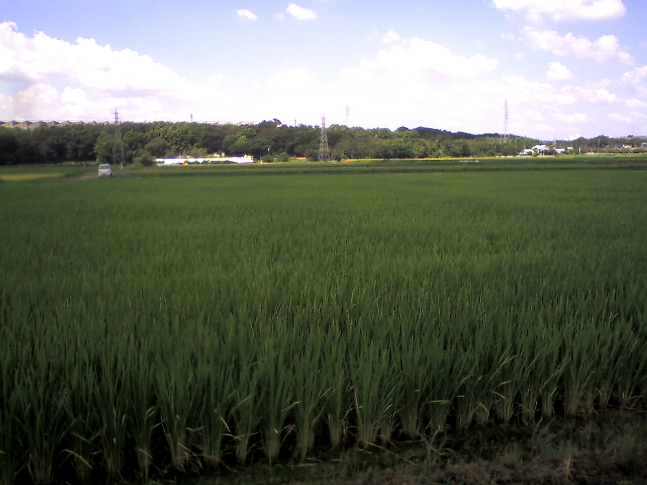201009011213_愛知県_豊田市