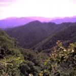 201009031028_群馬県_御巣鷹山