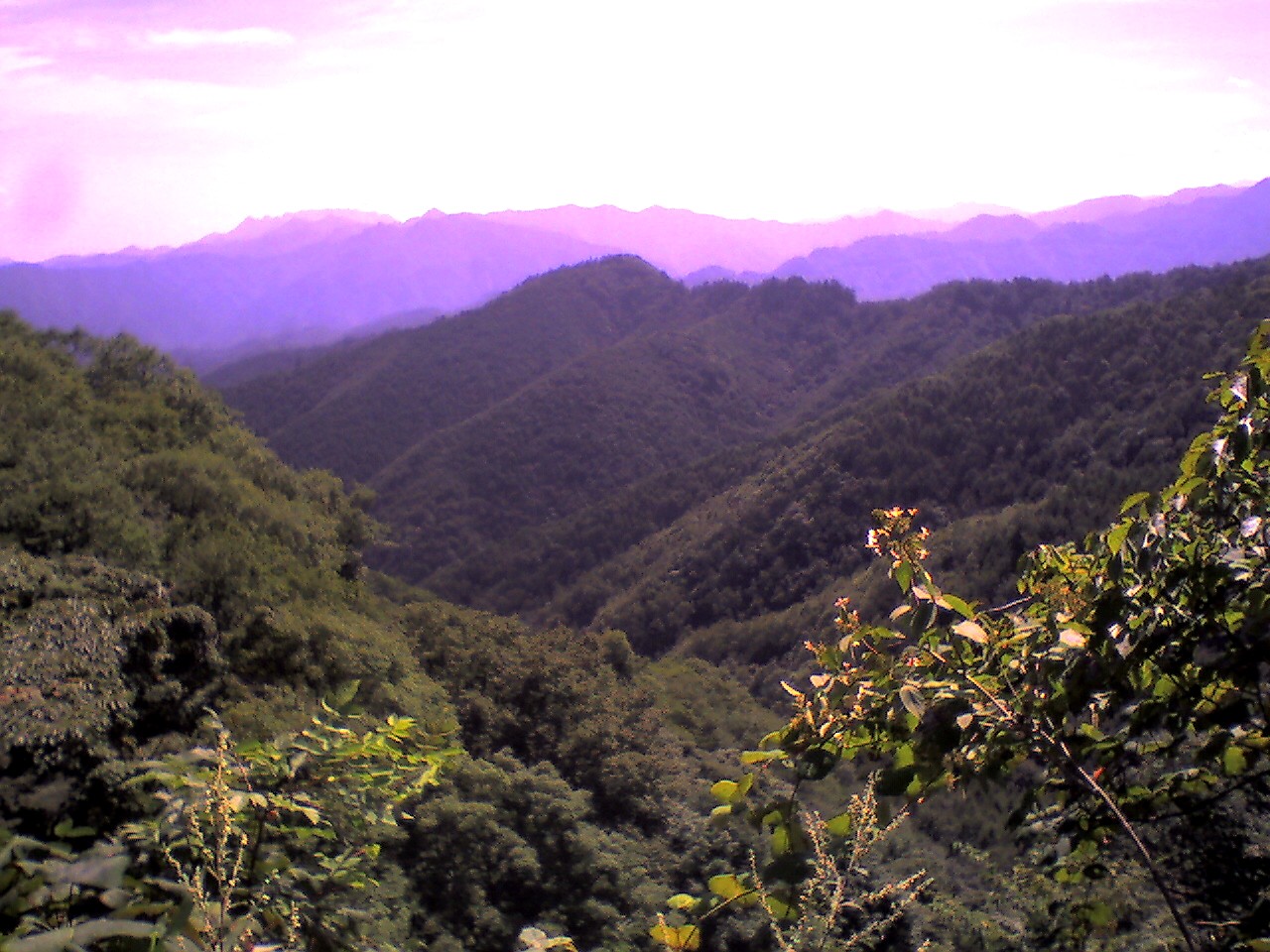 201009031028_群馬県_御巣鷹山
