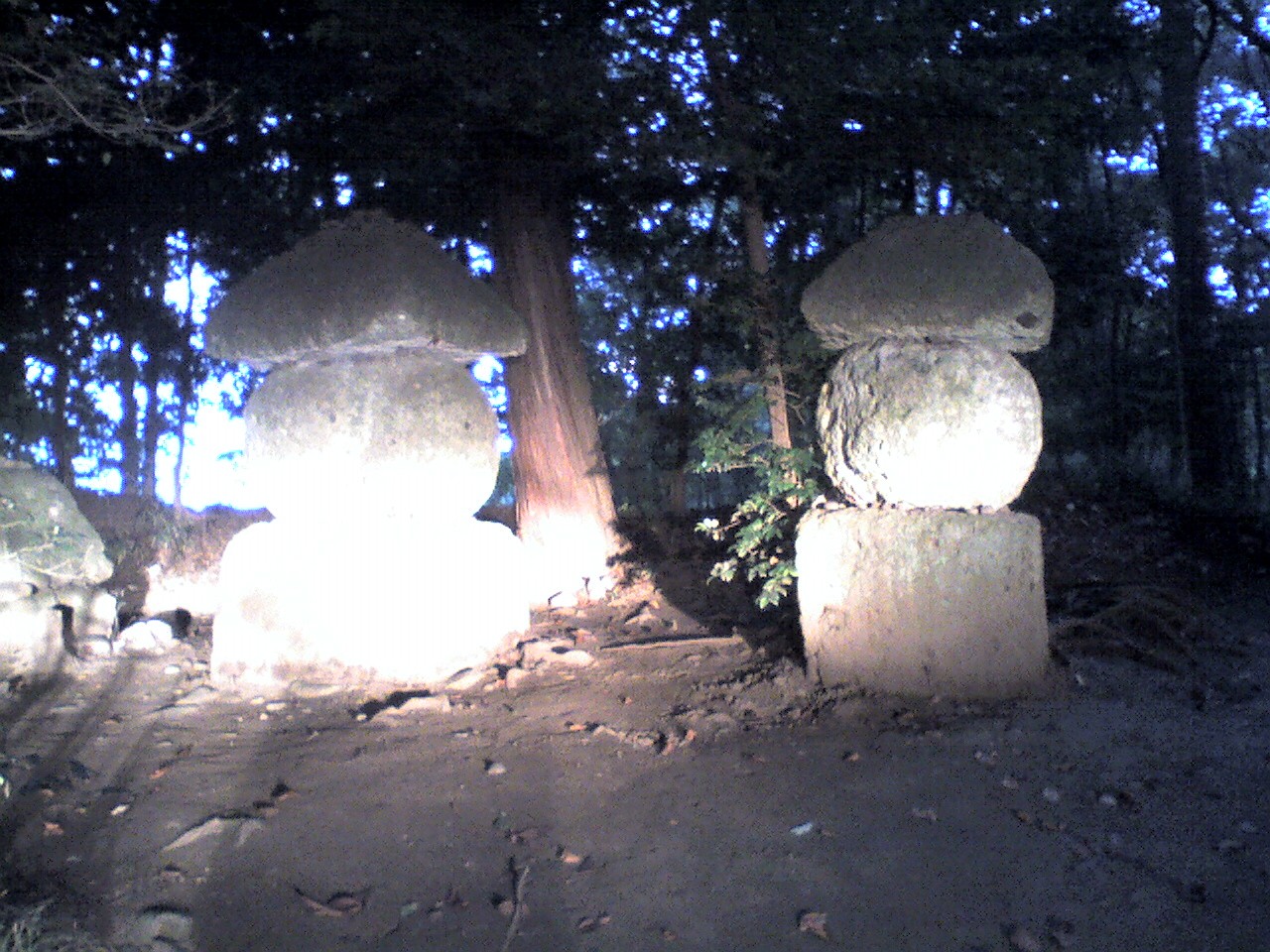201009061758_栃木県_紫式部の墓