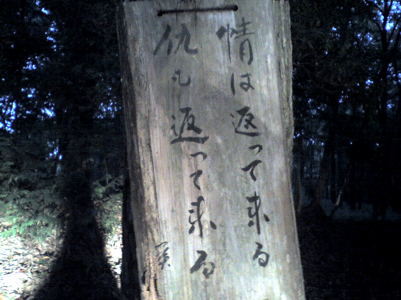 201009061804_栃木県_紫式部の墓看板