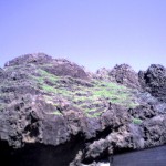 201009091143_青森県_竜飛崎帯島