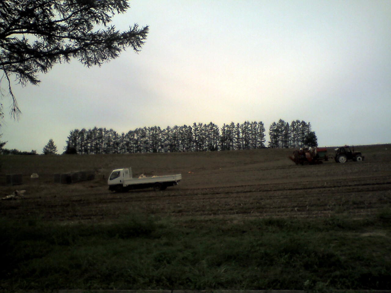 201009111010_北海道_ﾏｲﾙﾄﾞｾﾌﾞﾝの丘