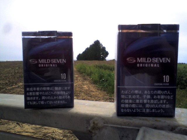 201009111016_北海道_ﾏｲﾙﾄﾞｾﾌﾞﾝの丘