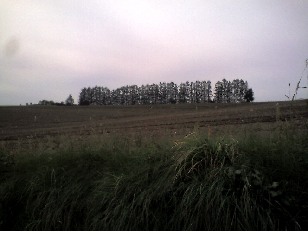 201009111019_北海道_ﾏｲﾙﾄﾞｾﾌﾞﾝの丘