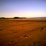 201009121504_北海道_ﾊﾏﾅｽ海水浴場