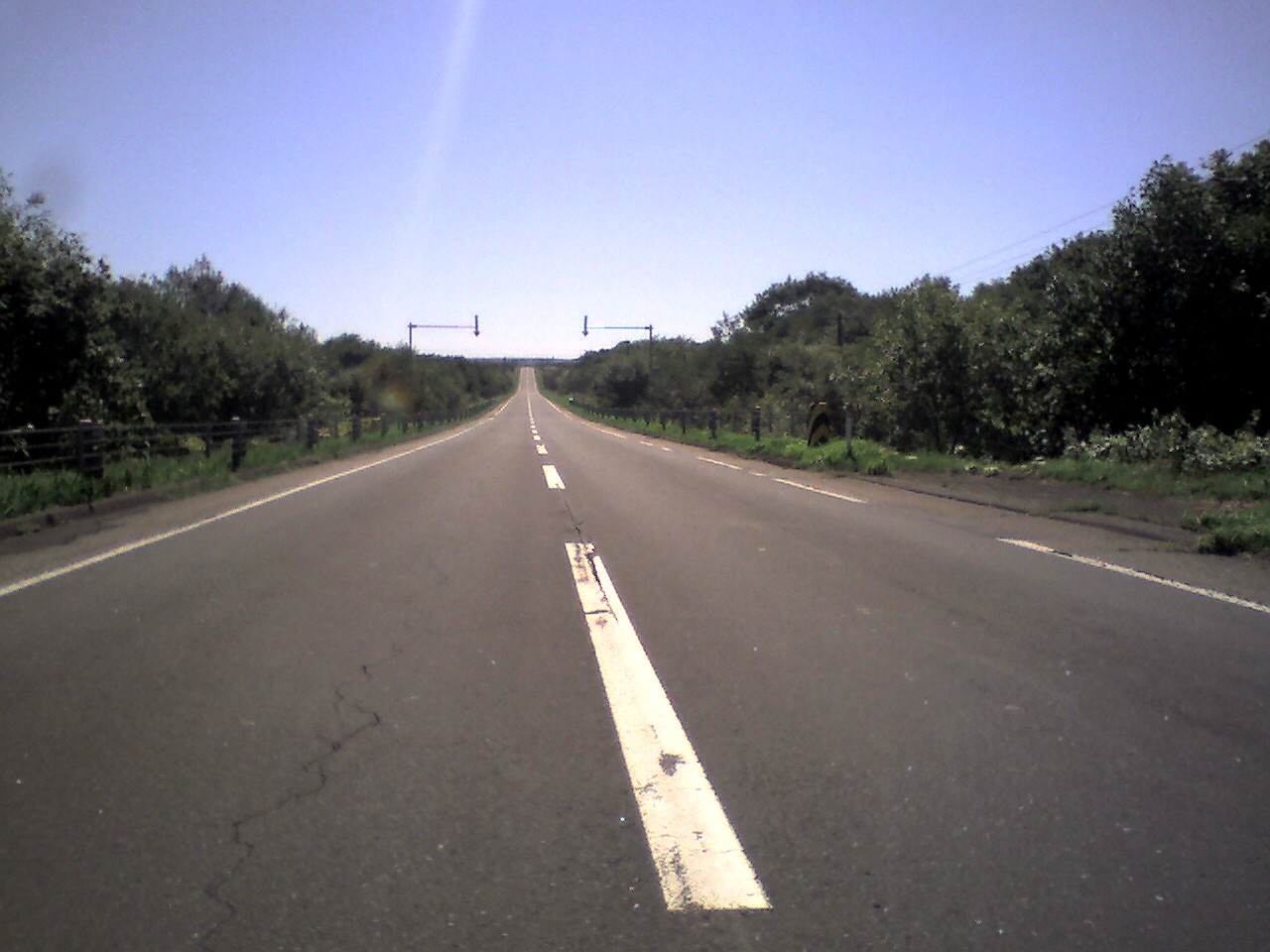 201009131030_北海道_ﾊﾟｲﾛｯﾄﾗｲﾝ