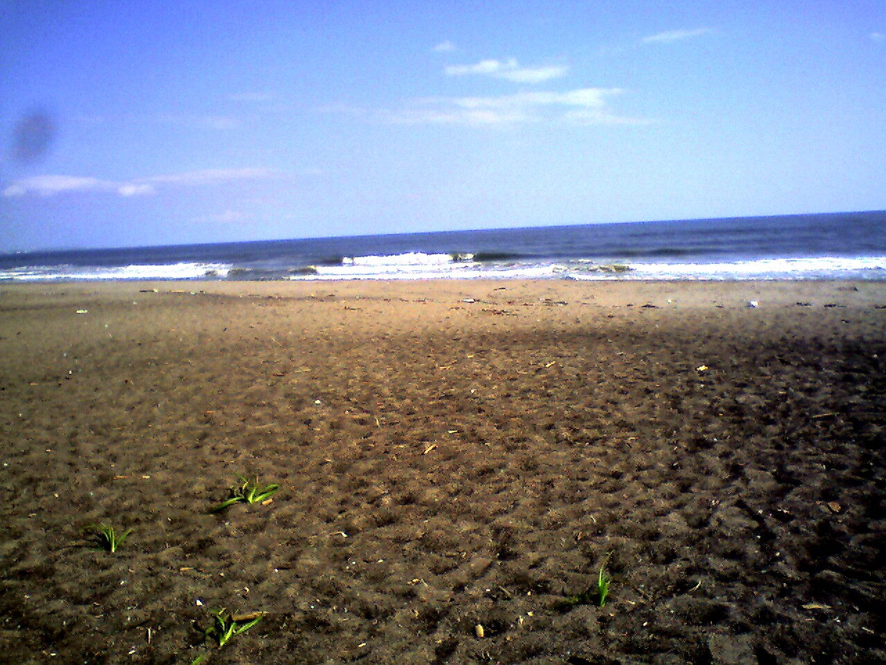 201009141343_北海道_釧路沖