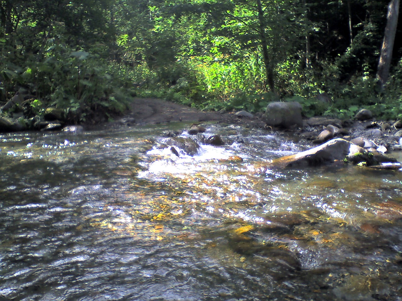 201009151245_北海道_岩間の湯