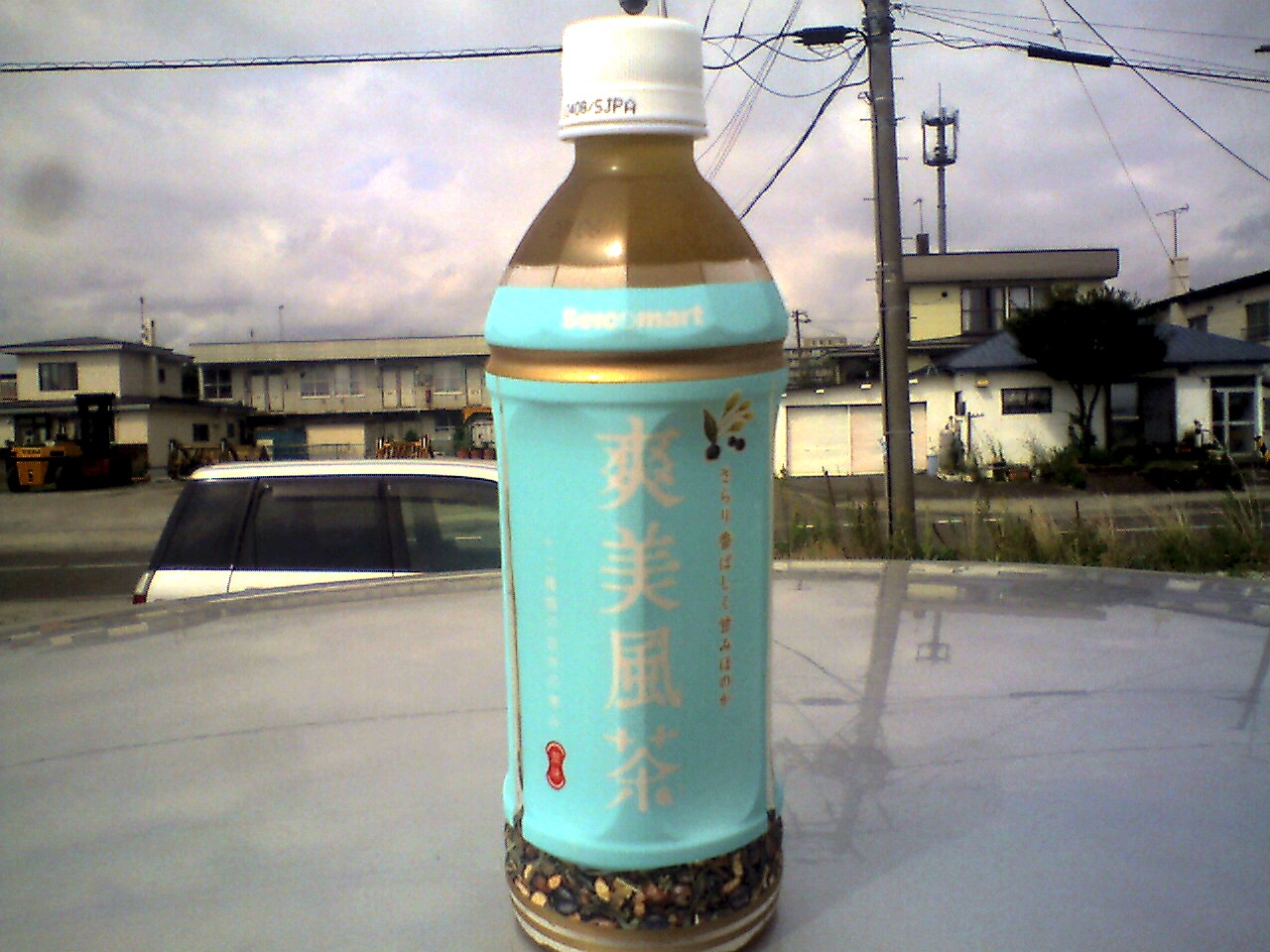 201009161134_北海道_苫小牧