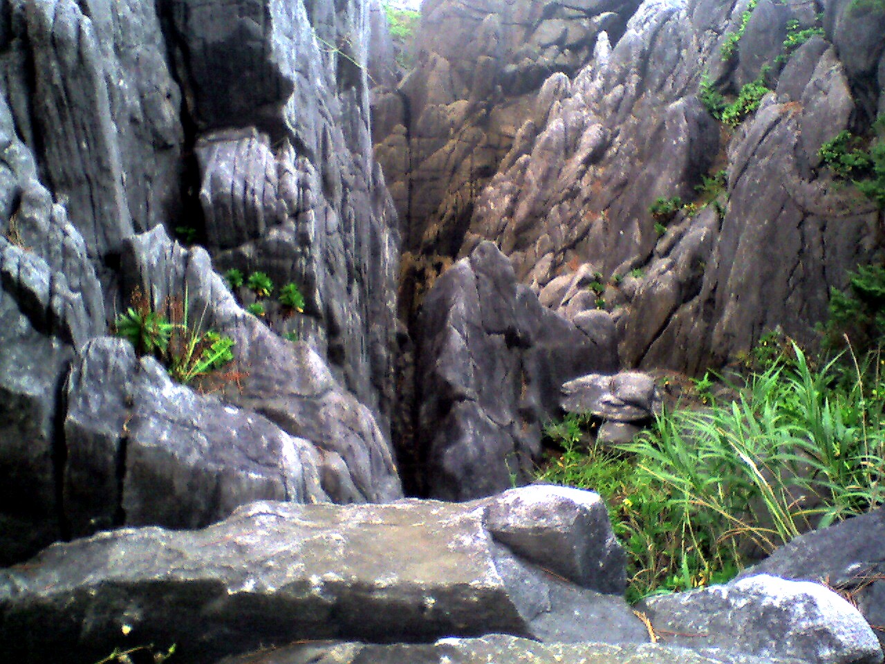 201009181716_宮城県_半造