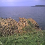 201009211155_福井県_東尋坊