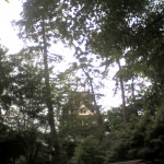 201009231310_岐阜県_郡上八幡城