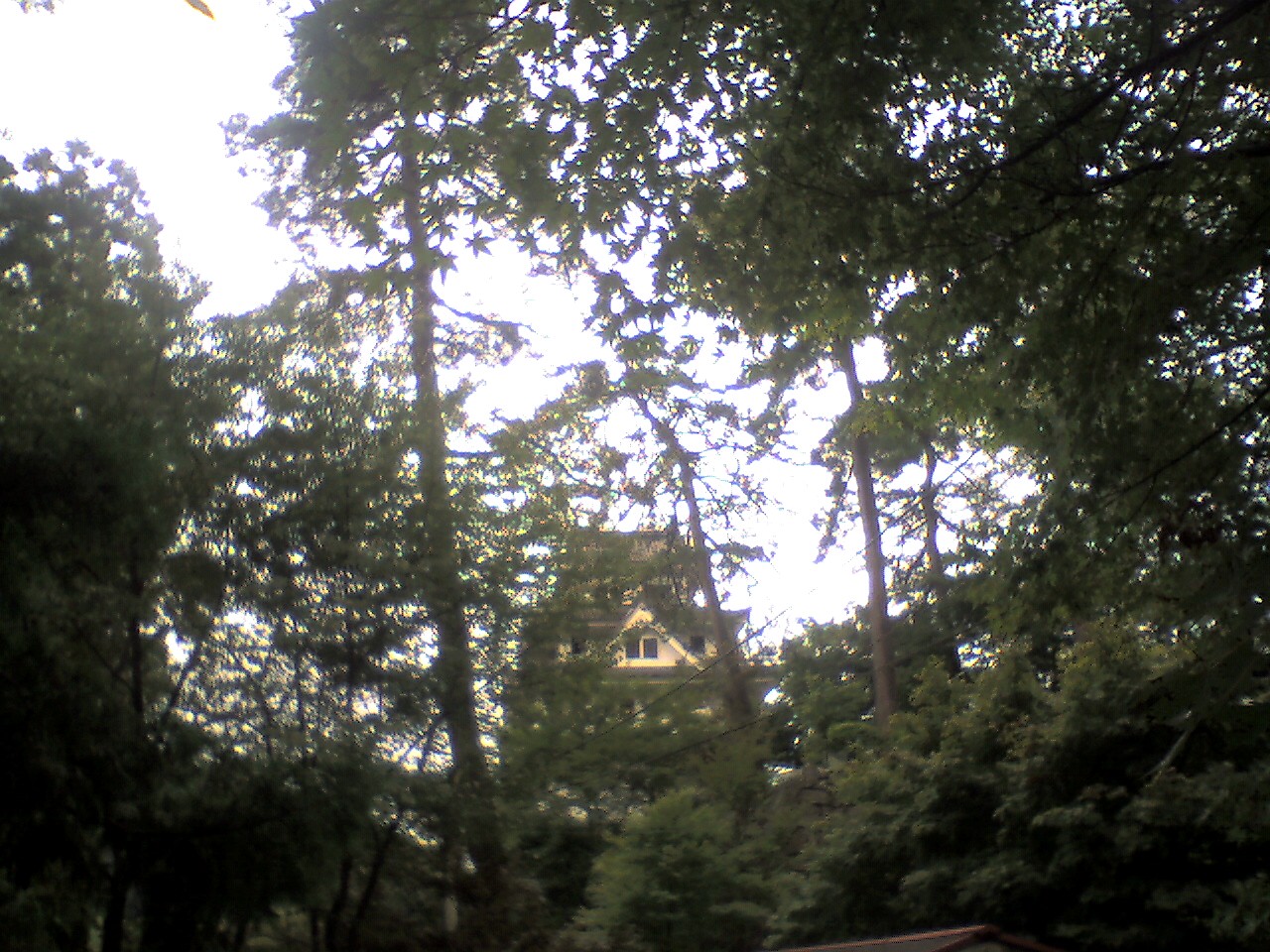 201009231310_岐阜県_郡上八幡城