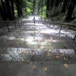 201009281201_山梨県_身延山_久遠寺石段