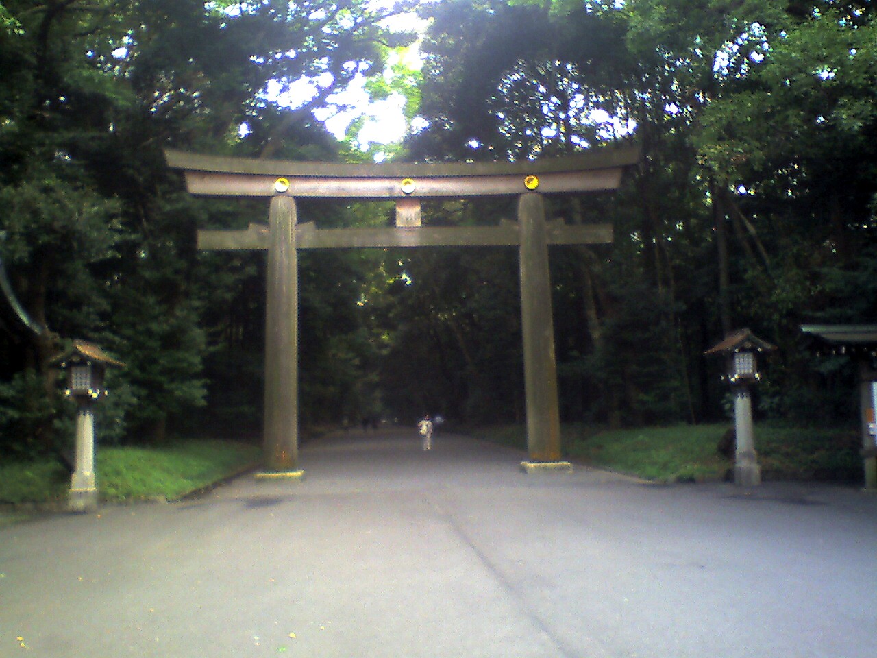 201009291517_東京都_明治神宮