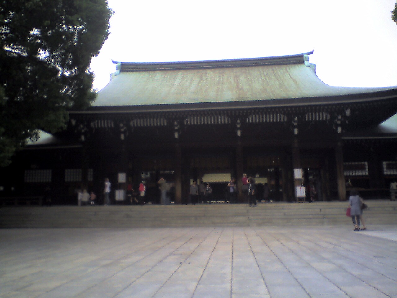 201009291534_東京都_明治神宮