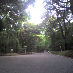 201009291541_東京都_明治神宮境内