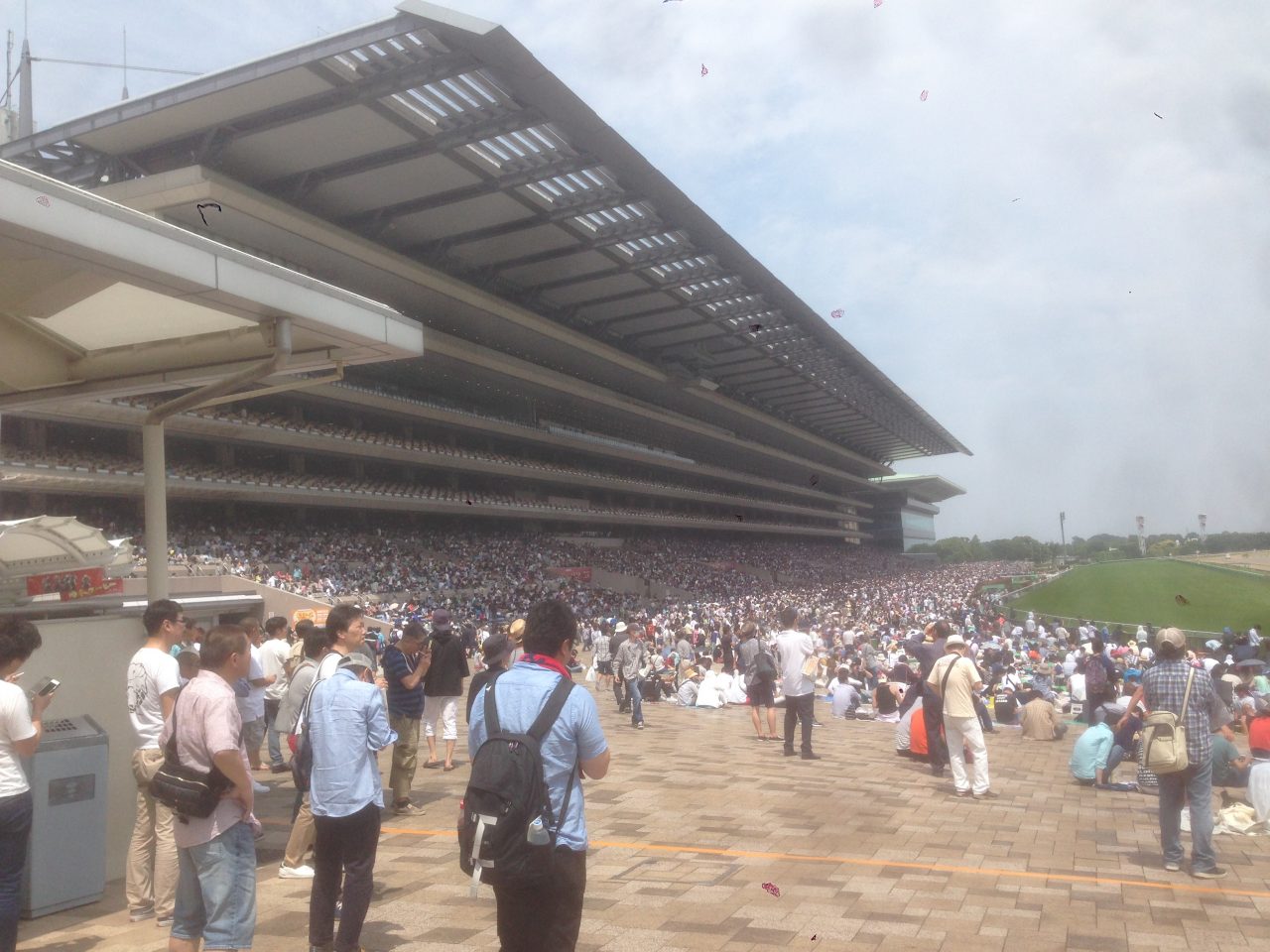 201605291301_東京都_東京競馬場