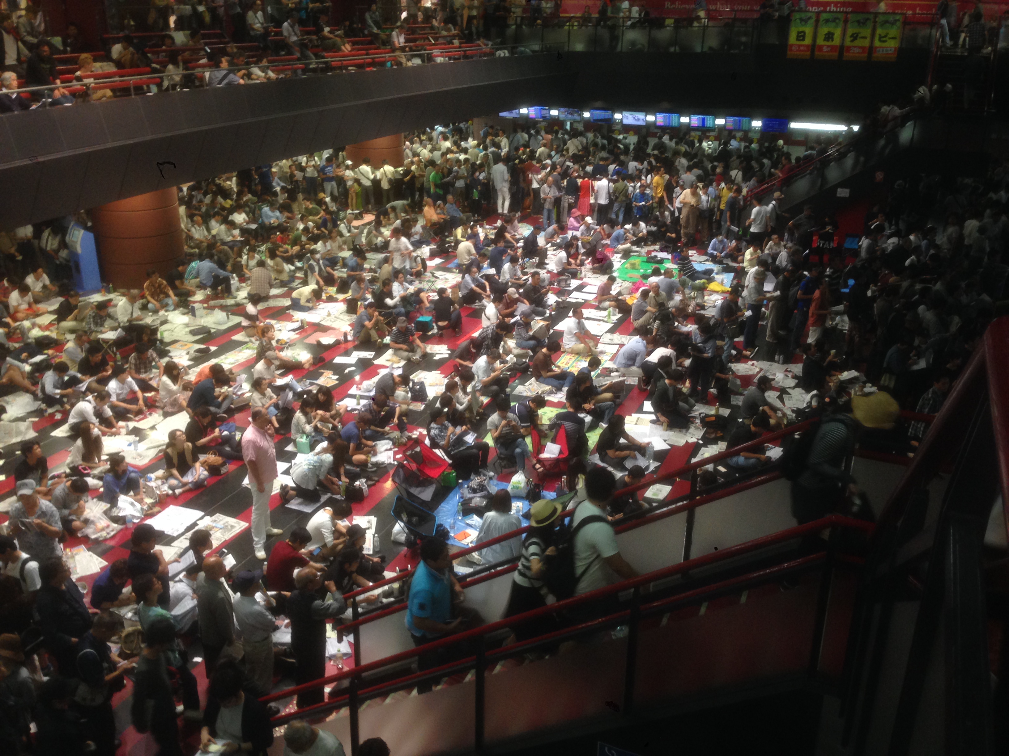 201605291431_東京都_日本ダービー