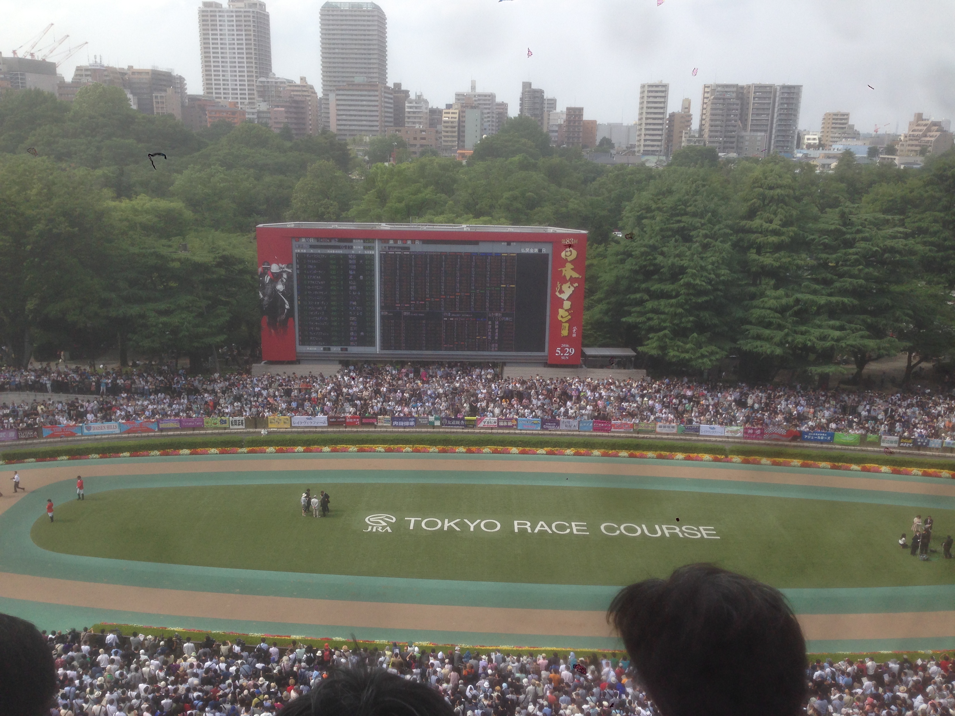 201605291451_東京都_パドック