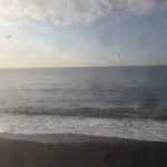 201609010702_神奈川県_小田原市_西湘PA