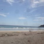 201609010950_静岡県_下田市_白浜海岸