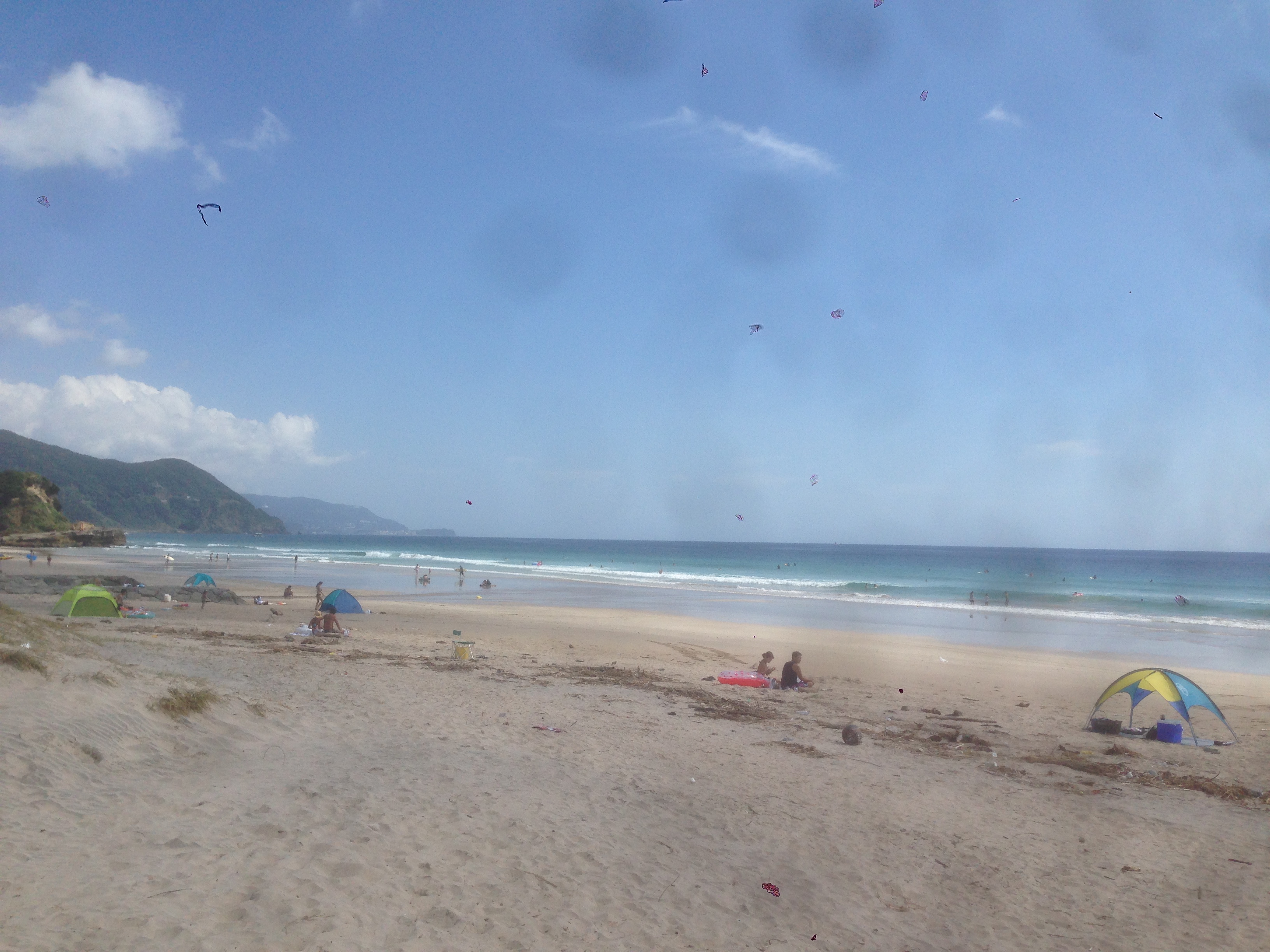 201609010951_静岡県_下田市_白浜海岸