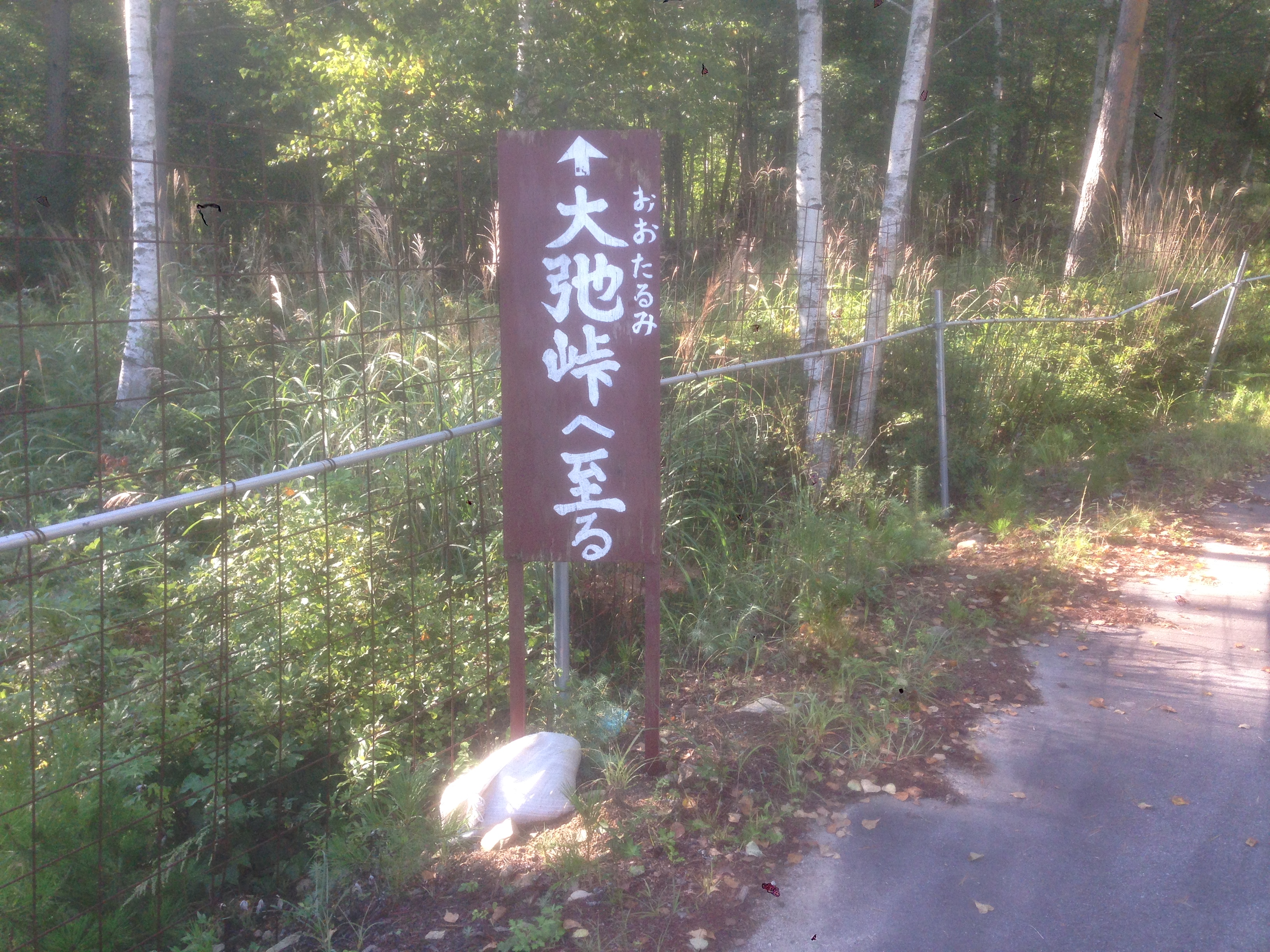201609020728_長野県_川上村_大弛峠分岐点