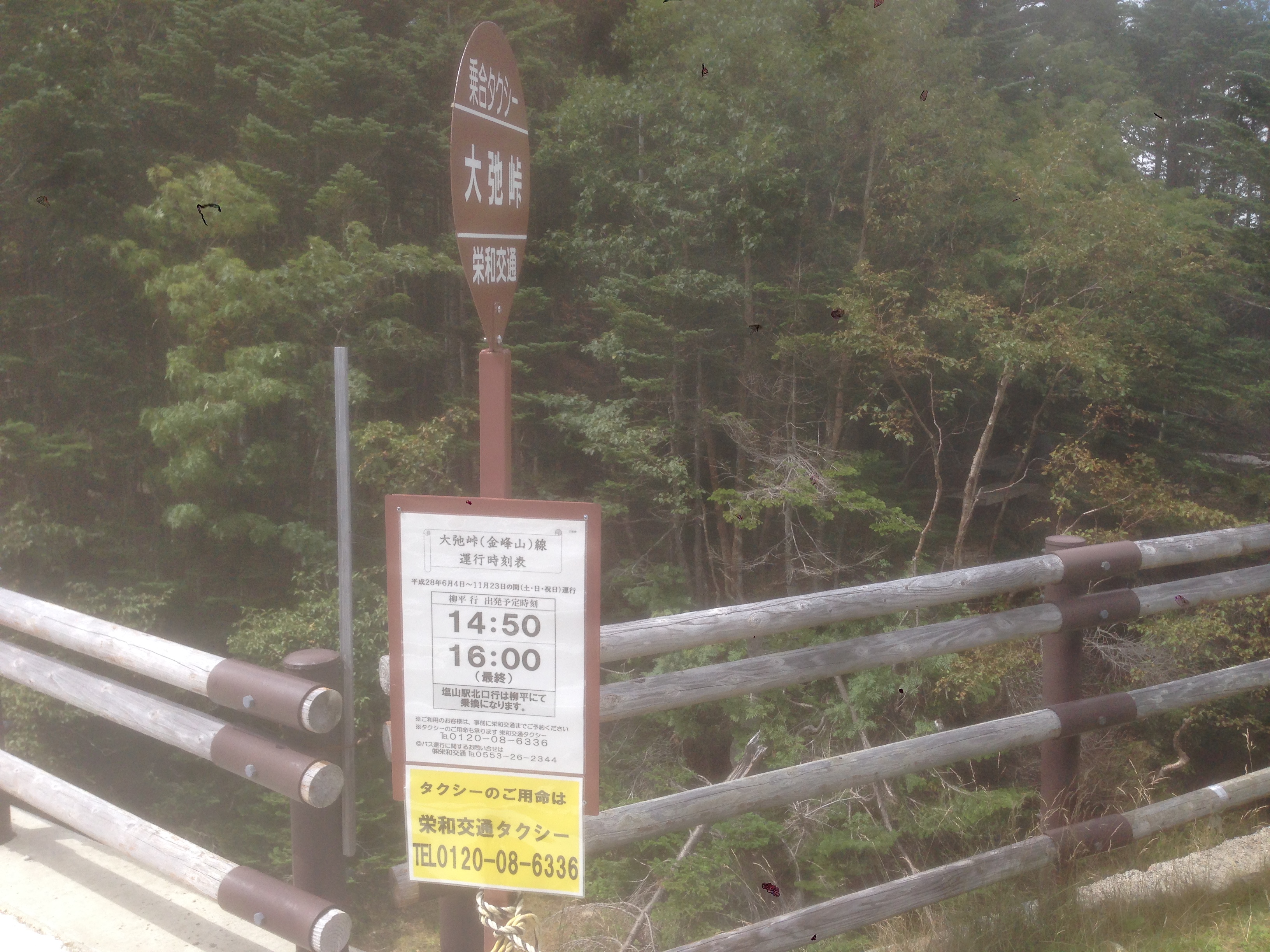 201609021250_山梨県_山梨市_大弛峠_バス停