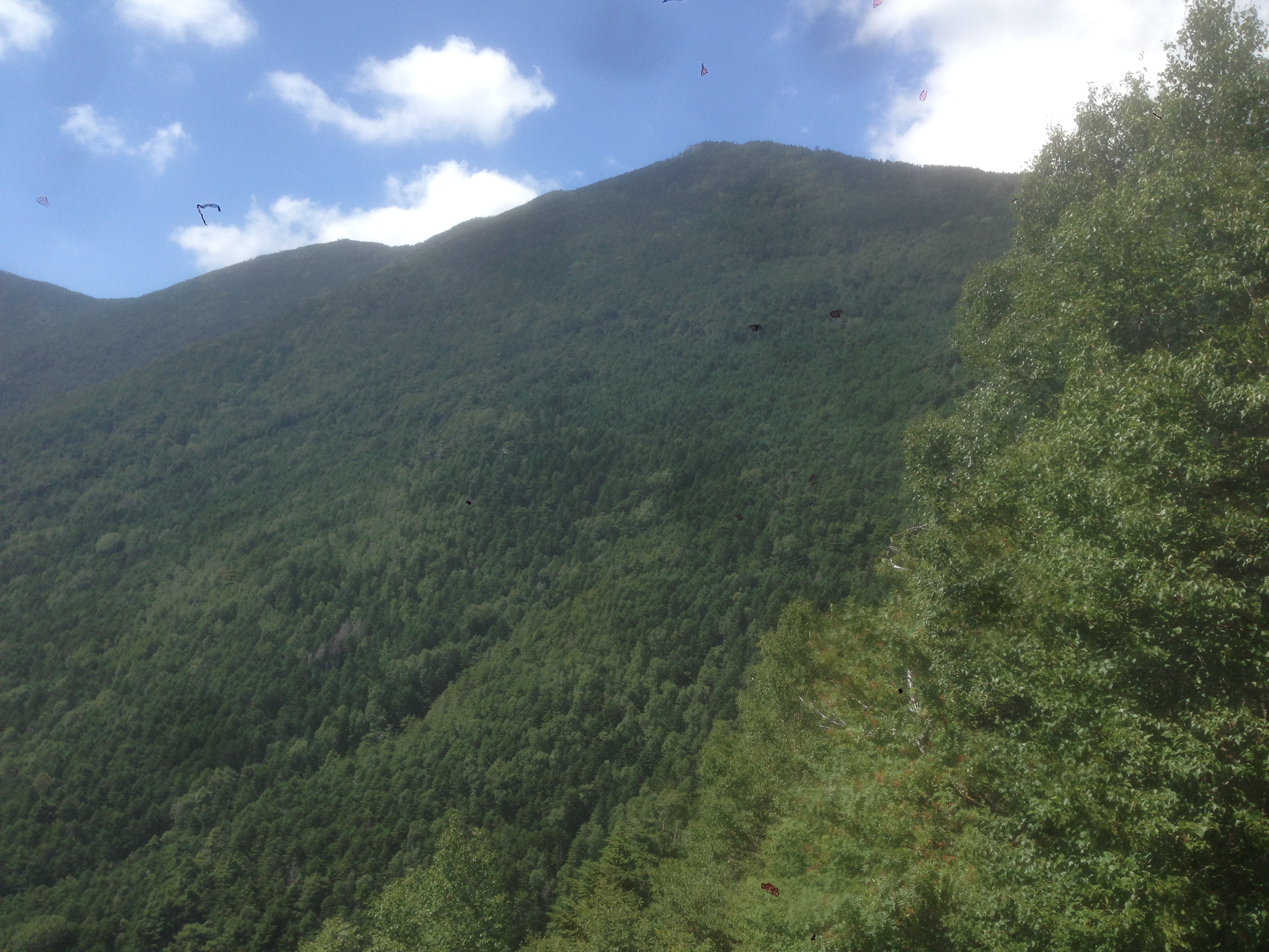 201609021317_山梨県_山梨市_大弛峠
