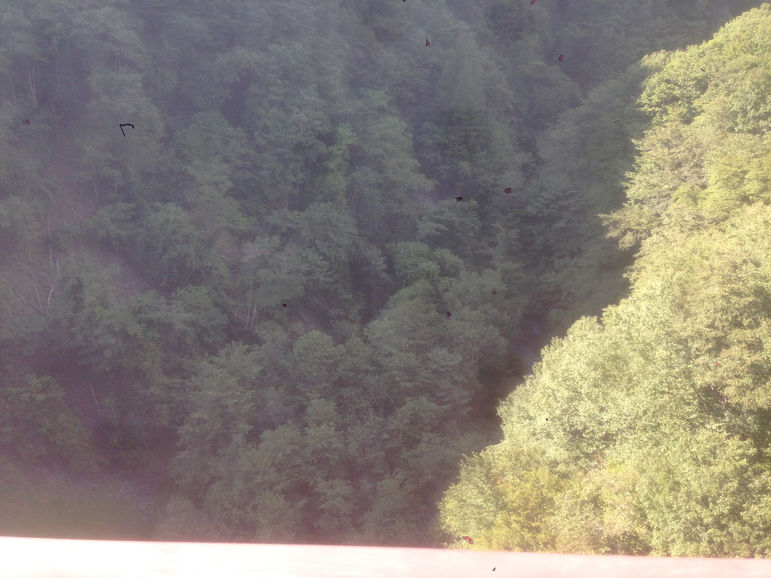201609021525_山梨県_山梨市_雁坂ﾄﾝﾈﾙ
