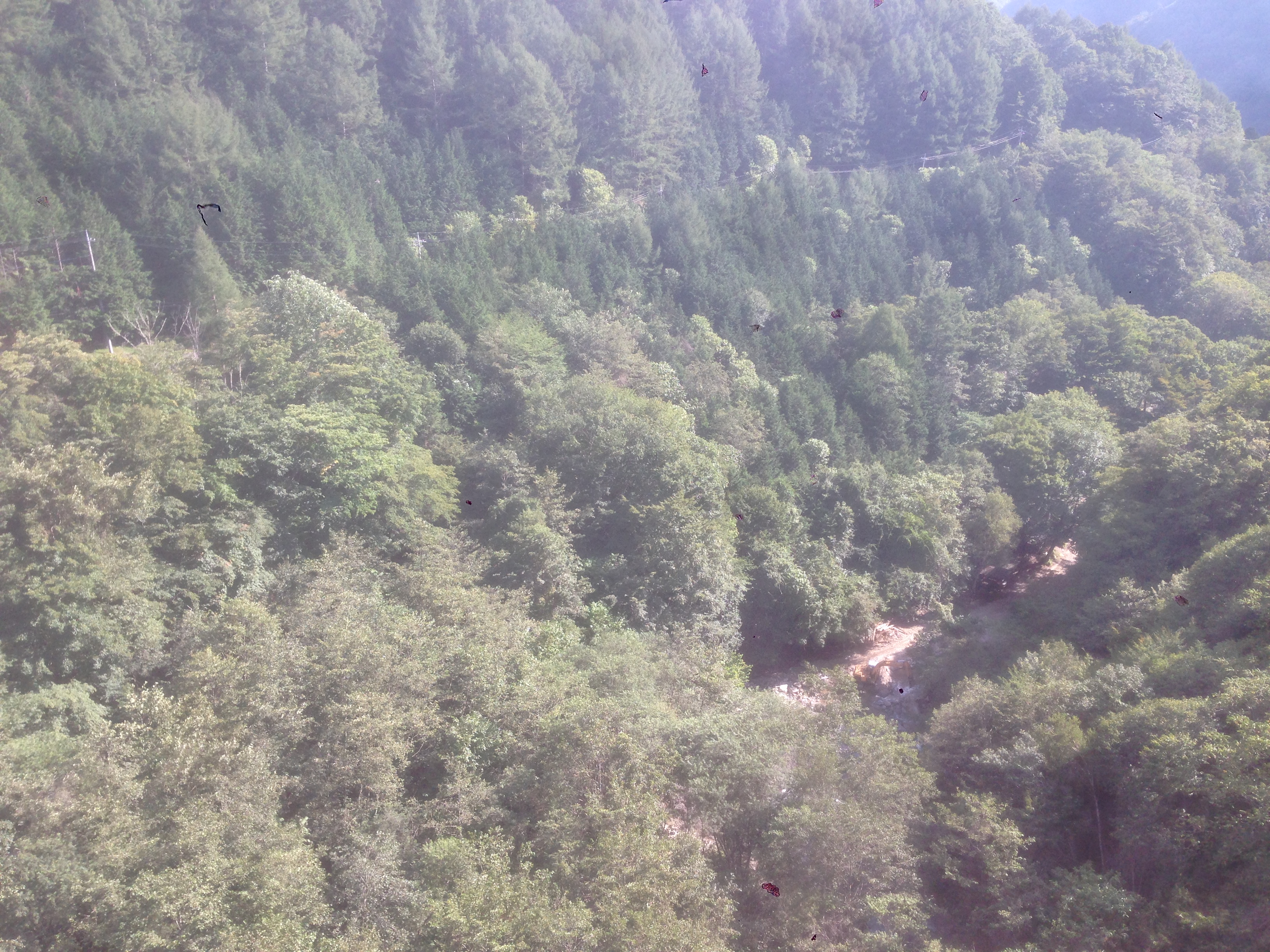 201609021526_山梨県_山梨市_雁坂ﾄﾝﾈﾙ