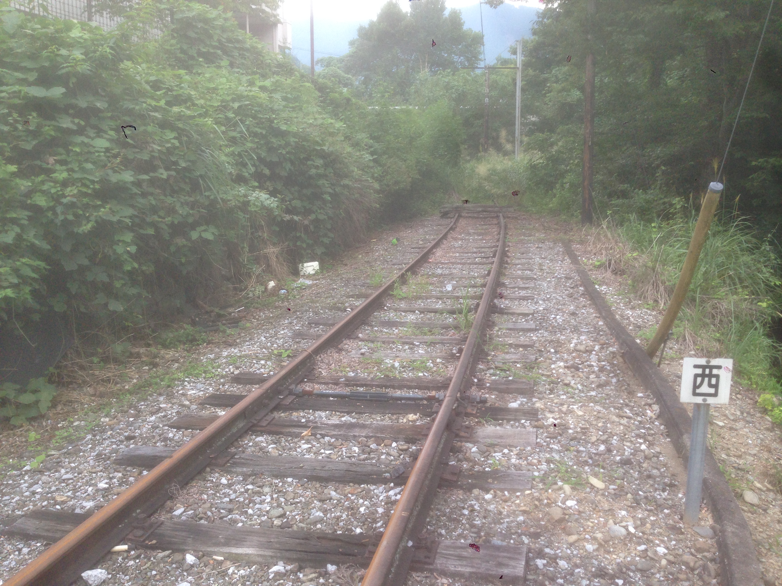 201609021623_埼玉県_秩父市_三峰口駅_終端