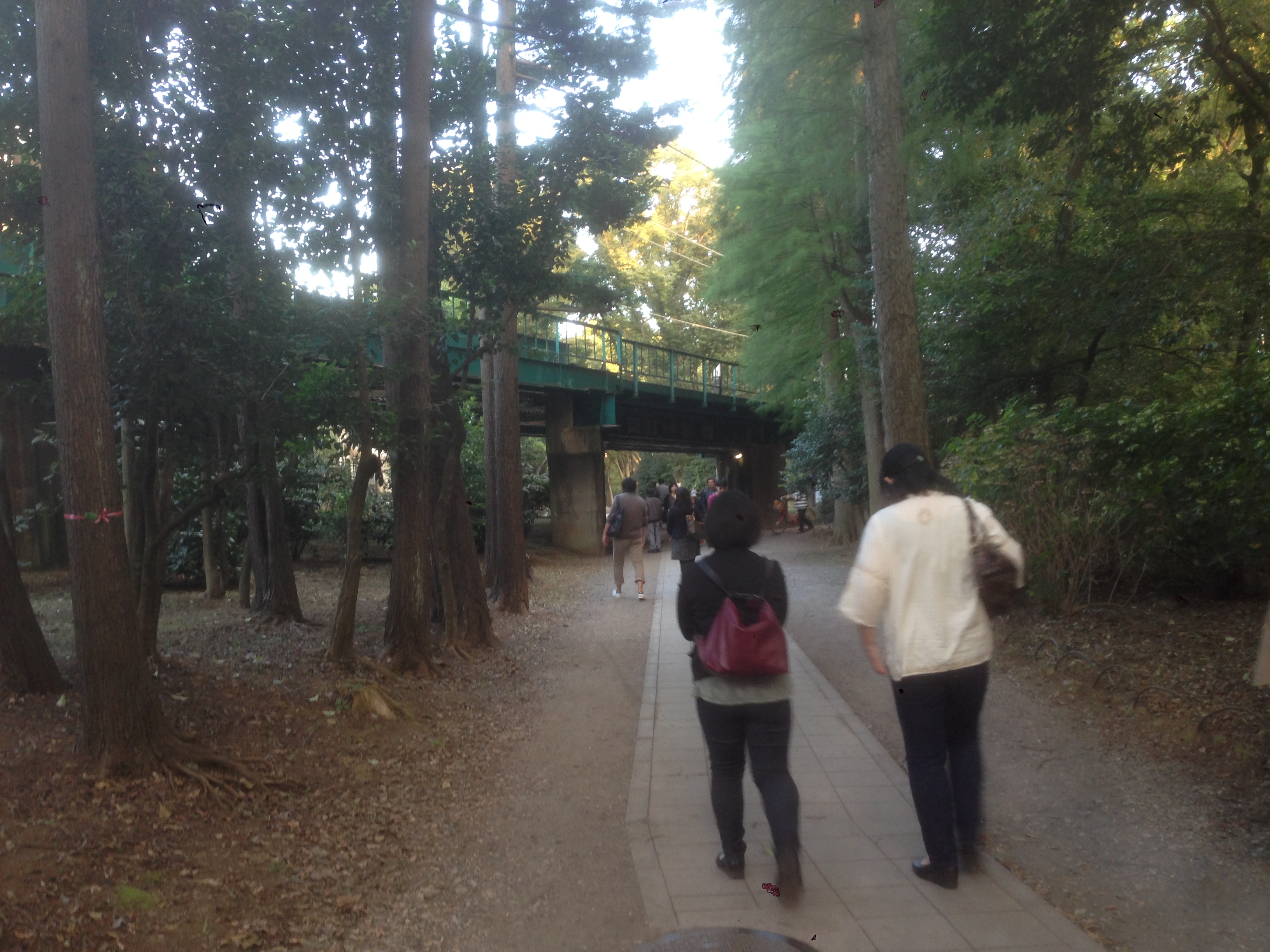 201610161623_東京都_武蔵野市_井の頭公園駅