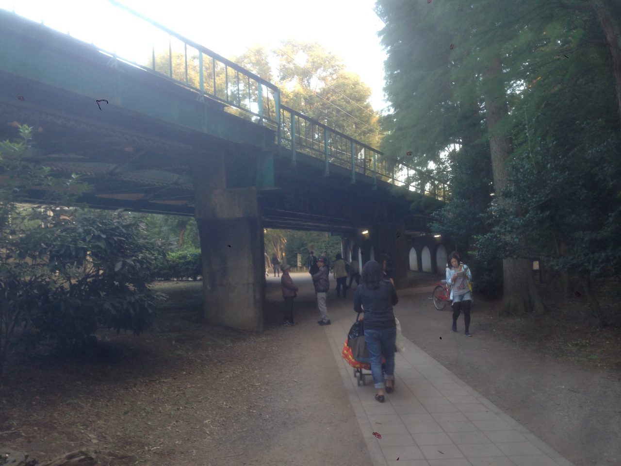 201610161624_東京都_武蔵野市_井の頭公園駅