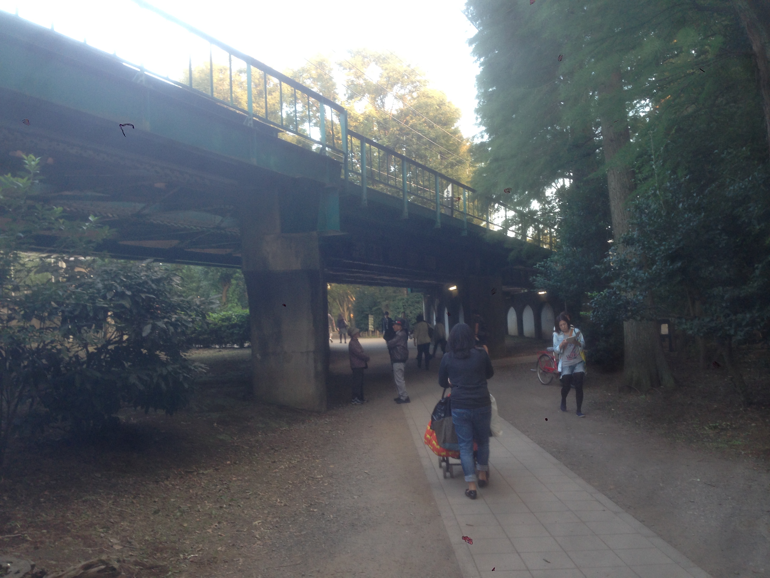 201610161624_東京都_武蔵野市_井の頭公園駅