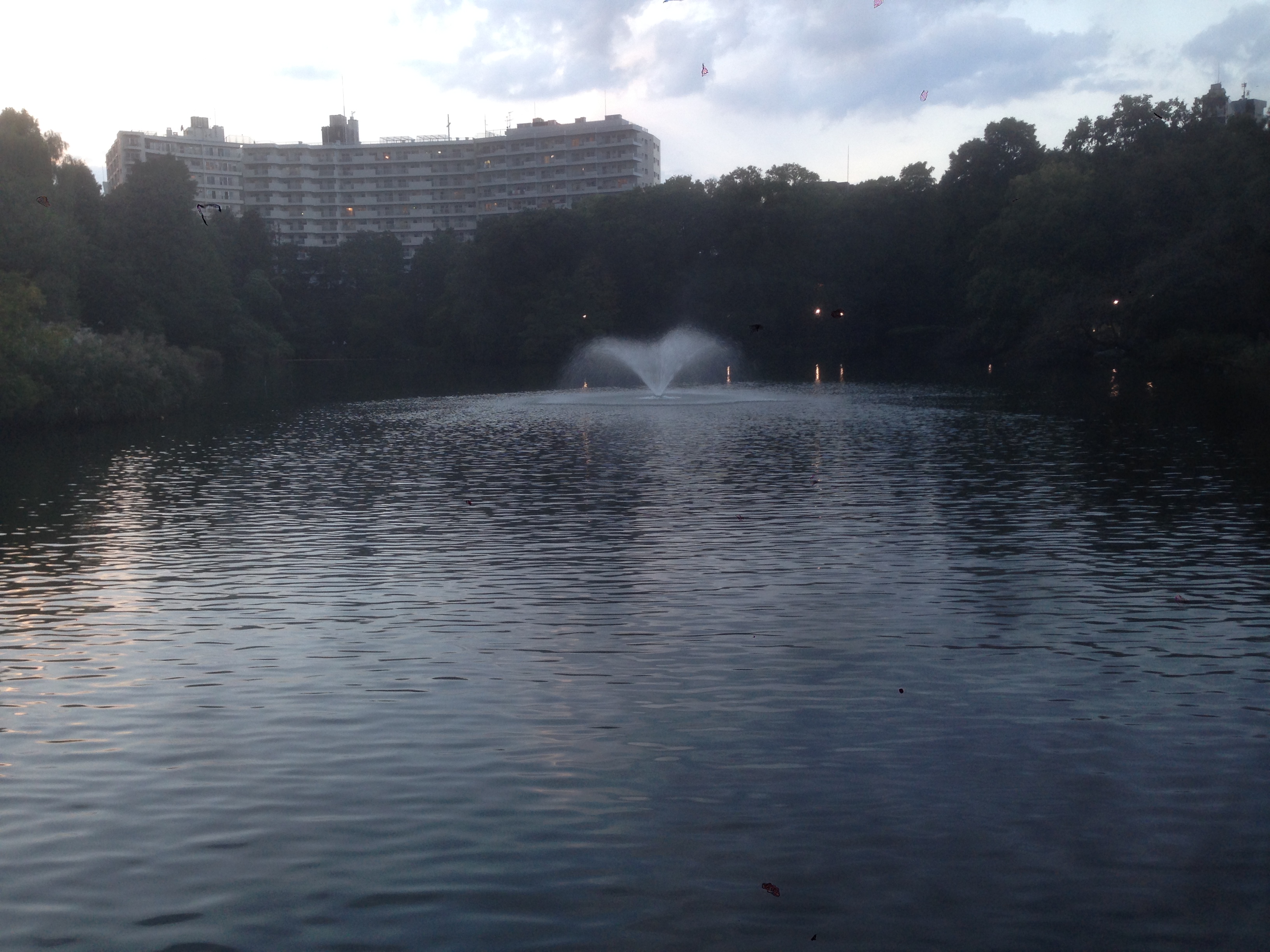 201610161703_東京都_武蔵野市_井の頭公園