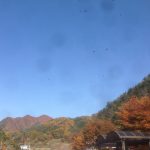 201611171037_山梨県_甲斐大和