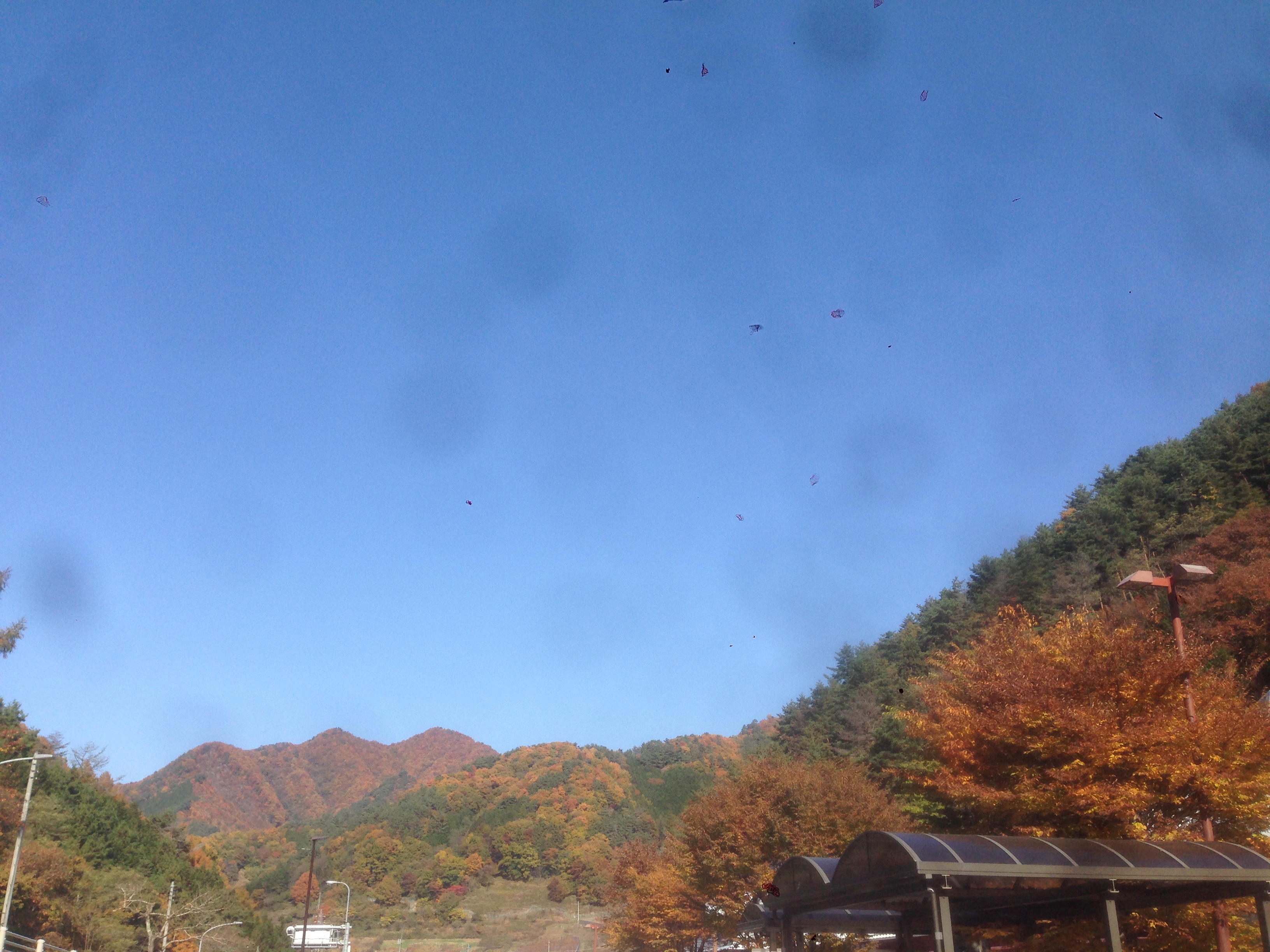 201611171037_山梨県_甲斐大和