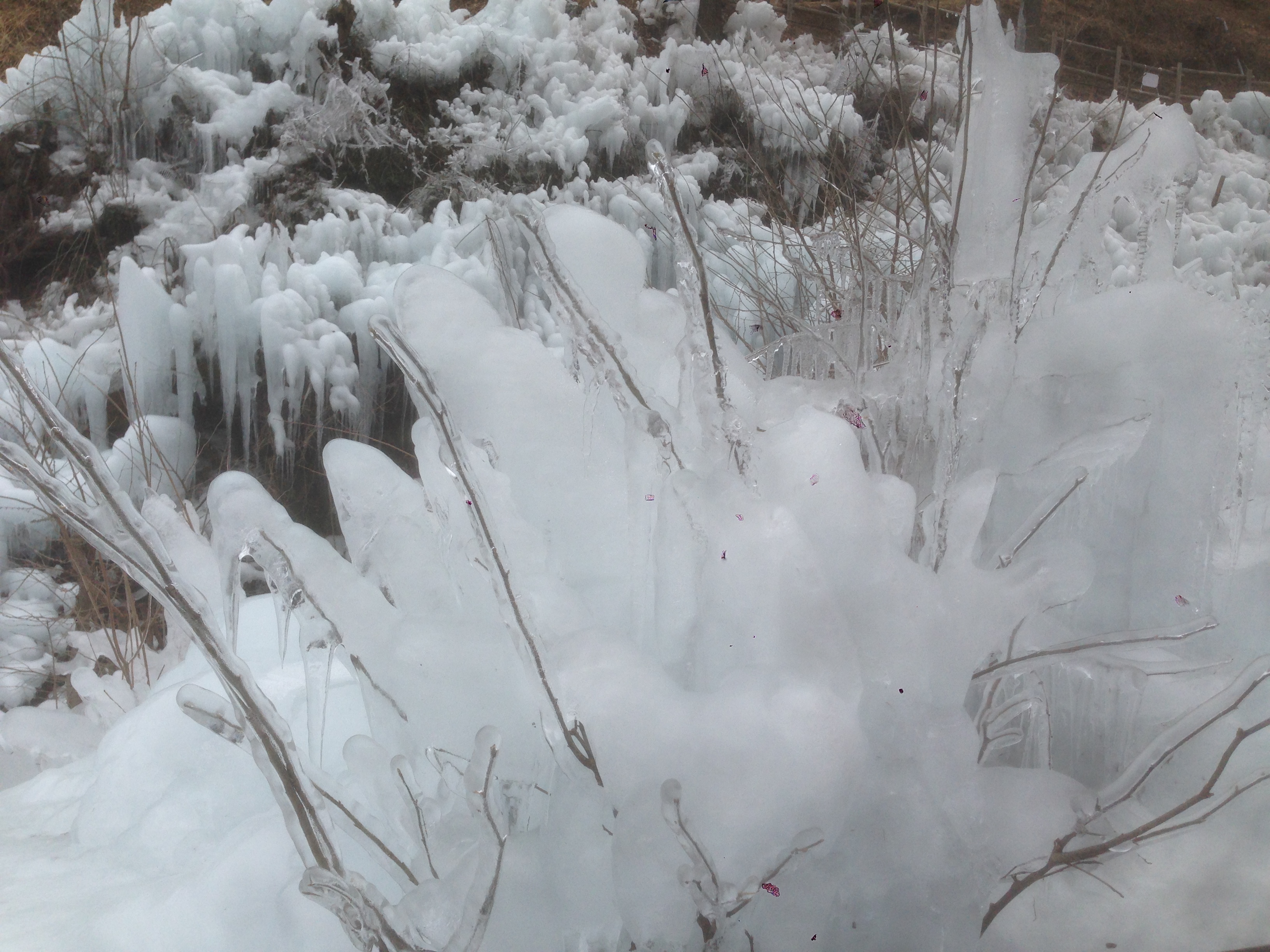 20170209123523_埼玉県_横瀬町_芦ヶ久保_氷柱