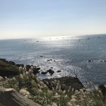 20171026103713_神奈川県_城ヶ島